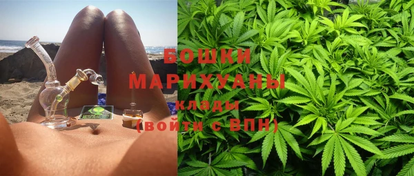 ПСИЛОЦИБИНОВЫЕ ГРИБЫ Абдулино
