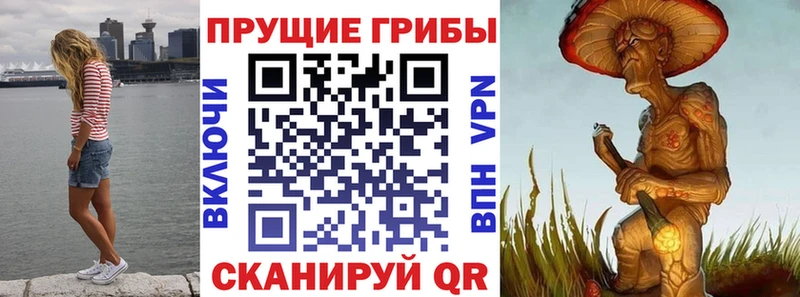 где найти   Разумное  Галлюциногенные грибы мухоморы 